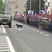 На "параде" в "ДНР" произошел конфуз (фото, видео)