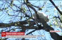 У Кам'янському операція з порятунку глухої кішки отримала несподіваний фінал (відео)