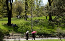 Названо найкращі міські парки світу