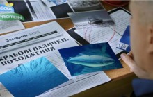 Крабові палички. Секретні матеріали