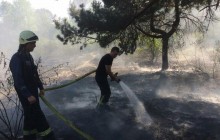 В Киеве на Трухановом острове произошел пожар