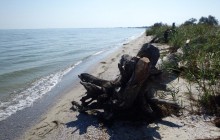 Оккупанты перебросили катера из Крыма на Кинбурнскую косу: военный раскрыл детали