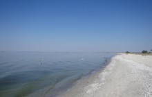 У ЗСУ констатують зменшення активності РФ на Кінбурнській косі