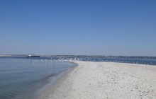 На Кінбурнській косі створили штучний риф, який має допомогти з очищенням води (відео)