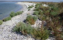 Чекаємо на "жест доброї волі": експерт розповів про ситуацію на Кінбурнській косі