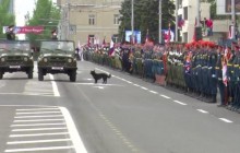 На "параді" в "ДНР" стався конфуз (фото, відео)