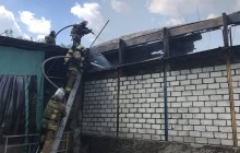 В Киеве в Гидропарке спасатели ликвидировали пожар (фото)