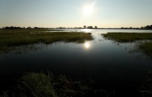 Туристам в Африке удалось с близкого расстояния снять на камеру молодого леопарда (фото, видео)