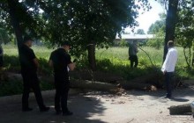 Покаталися на гойдалці: у Черкасах четверо школярів постраждали від падіння аварійного дерева (відео)