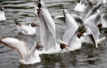 14 січня 2021 - яке сьогодні свято, прикмети та іменинники, що сьогодні не можна робити