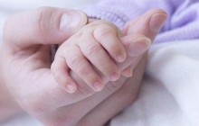 У Латинській Америці миряни та священики створюють континентальну мережу для захисту життя