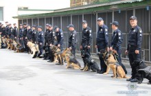 Полиция к гарантированию безопасности во время финала Лиги чемпионов в Киеве привлечет более 100 служебных собак (фото, видео)