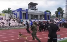 В Черкассах ультрас подрались с полицией на футбольном матче: задержаны 26 человек (видео)