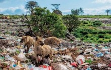 Июньский выпуск National Geographic посвященный чрезмерному использованию пластика: шокирующие фото