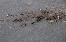 Стрільба по дітях на Миколаївщині: хлопчик, потерпілий від кулі пенсіонера, розповів подробиці (відео)