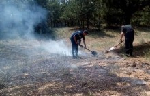 На Херсонщині сталося дві лісові пожежі
