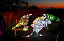 Удивительные существа и яркое "оперное" шоу: в Сиднее стартовал крупнейший фестиваль света (фоторепортаж)