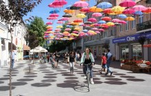 В Житомире более тысячи человек приняли участие в акции «Велодень» (фото)