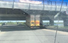 С юбилеем: под питерским «мостом глупости» застряла уже 150-я «Газель» (фото, видео)