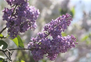 Долгожданное потепление мчится в Украину: где и когда повысится температура