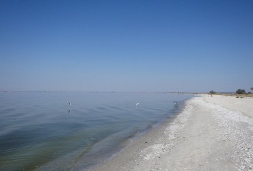 В ВСУ констатируют уменьшение активности РФ на Кинбурнской косе