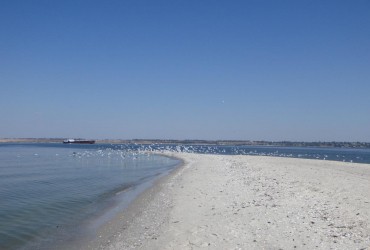 На Кінбурнській косі створили штучний риф, який має допомогти з очищенням води (відео)