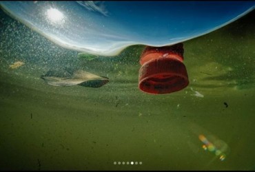 В Средиземном море обнаружили крупнейшее в истории скопление микропластика