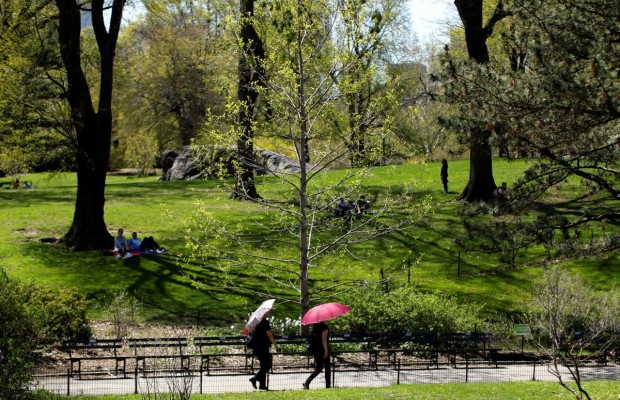 Названы лучшие городские парки мира