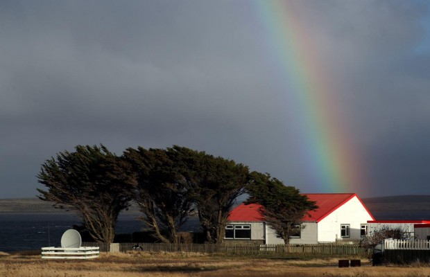 Далекі Фолклендські острови: царство дикої природи, вівчарства та нафти (фоторепортаж)