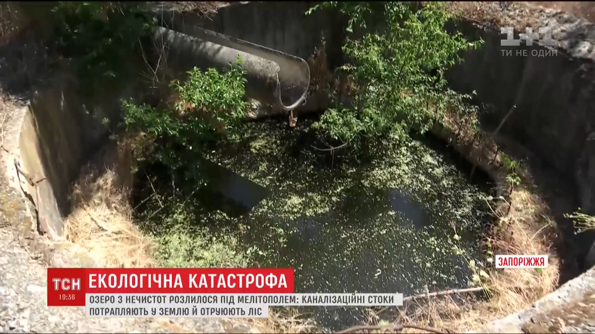 Под Мелитополем из-за украденного коллектора озеро из фекалий подбирается к объекту ЮНЕСКО (видео) Под Мелитополем из-за украденного коллектора озеро из фекалий подбирается к объекту ЮНЕСКО (видео)