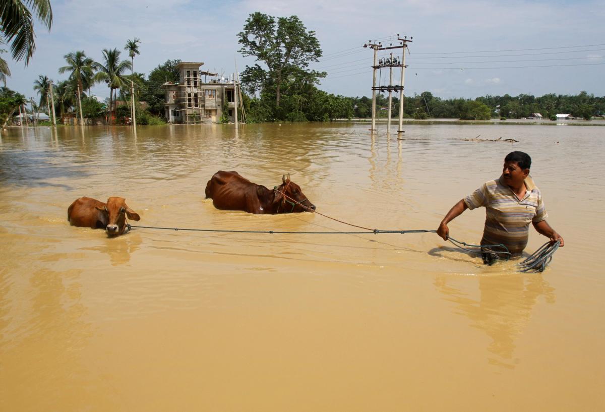 Иллюстрация / REUTERS