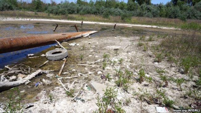 Ділянка Північно-Кримського каналу заросла очеретом і чагарником / фото: "Крим.Реалії" Ділянка Північно-Кримського каналу заросла очеретом і чагарником / фото: "Крим.Реалії"