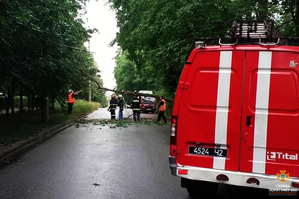 ГУ ДСНС України у Тернопільській області ГУ ДСНС України у Тернопільській області