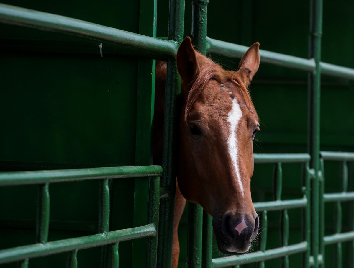 Ілюстрація К