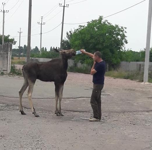 Фото напоили и отимели