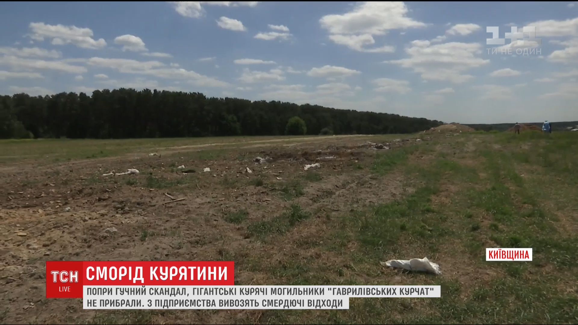 Біля місць, де виробляється курятина, запах зовсім не апетитний / Кадр із відео ТСН Біля місць, де виробляється курятина, запах зовсім не апетитний / Кадр із відео ТСН