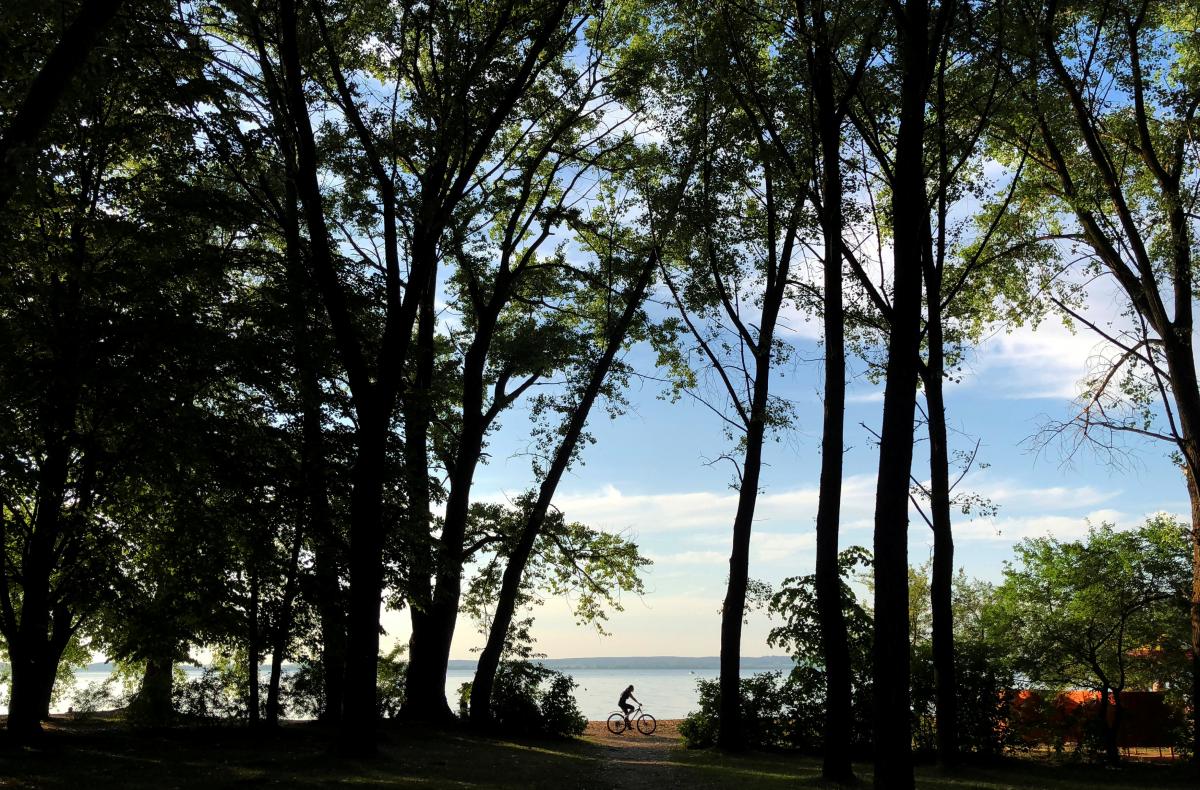 Иллюстрация / REUTERS