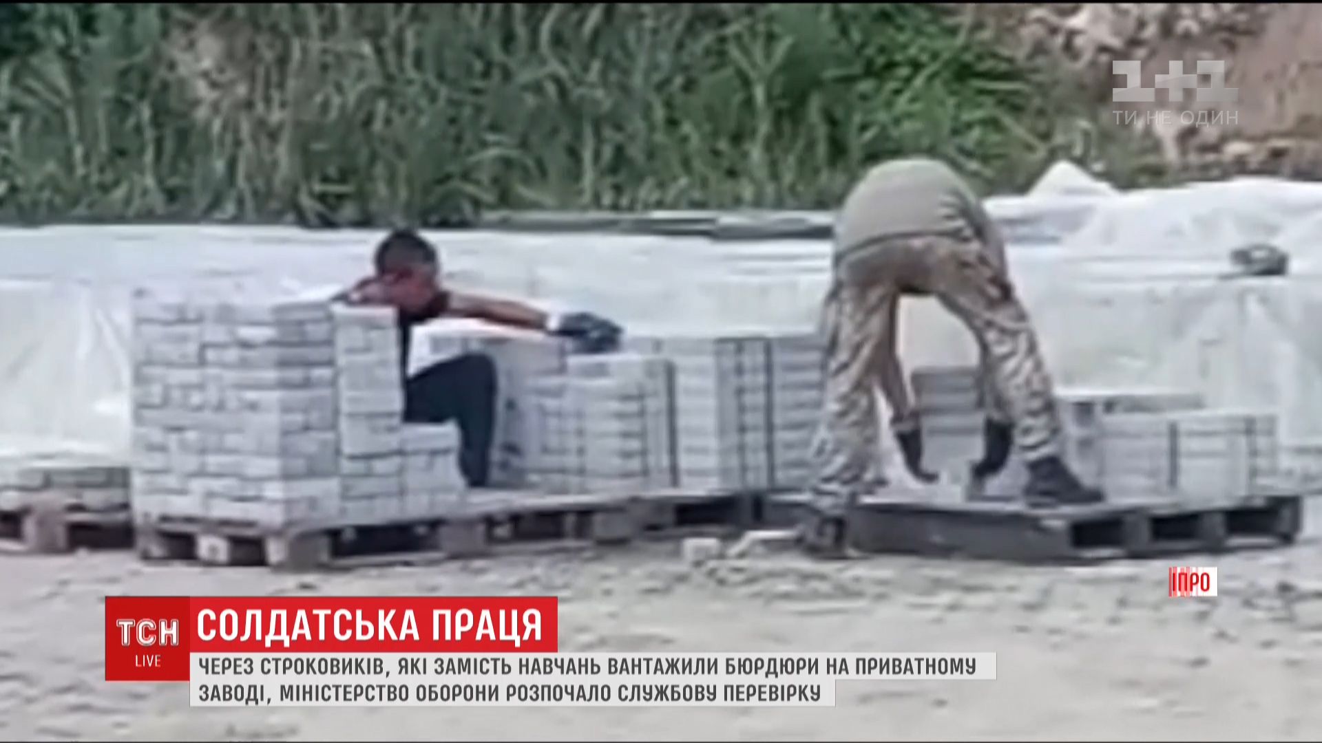 Через "рабство" строковиків розгорівся скандал / Кадр з відео ТСН Через "рабство" строковиків розгорівся скандал / Кадр з відео ТСН