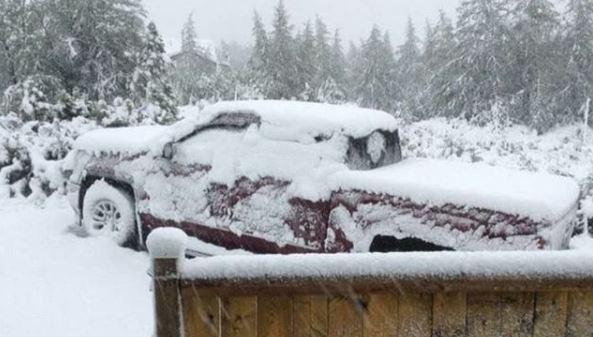 Сніг в Канаді / фото instagram.com/ice_queen41