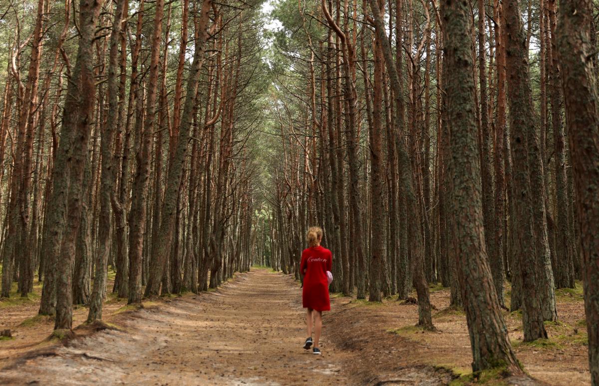 Ілюстрація REUTERS