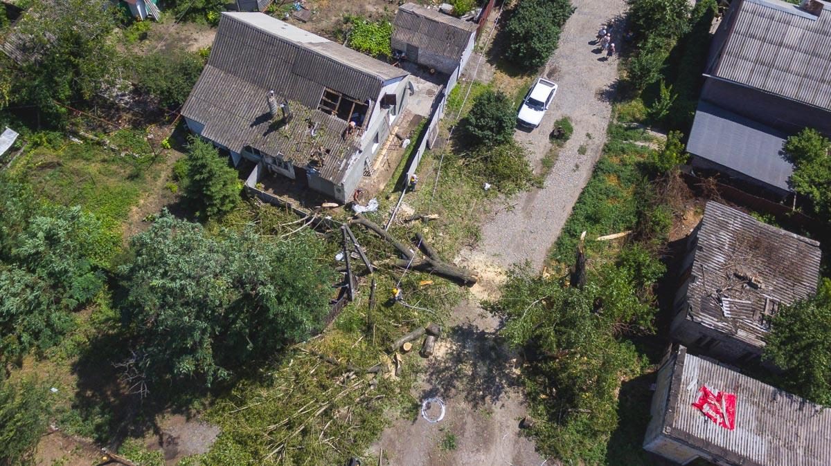 В Днепре во время грозы дерево рухнуло на крышу жилого дома (фото) | УНИАН