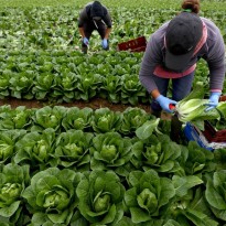 Coronavirus outbreak reported on farm in Bavaria; Ukrainians among patients