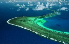 Большой Барьерный риф не раз возрождался после массовой гибели кораллов - ученые