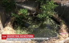Під Мелітополем через поцуплений колектор озеро з фекалій підбирається до об'єкта ЮНЕСКО (відео)