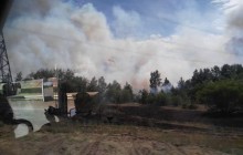Fire breaks out in contaminated forest within Chornobyl zone (Photos)