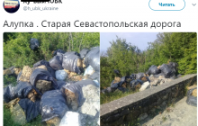 "Несезон в разгаре": в сети показали загрязненные мусором и фекалиями крымские улицы (фото)