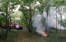 Спасатели локализовали лесной пожар в Чернобыльской зоне