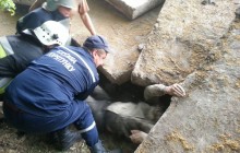 У Кам’янець-Подільському чоловіка придавило залізобетонною плитою