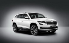 Львовские ветеринары потратили 1 миллион бюджетных денег на VIP-кроссовер