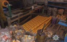 Во Львовской области разоблачили завод, который подрабатывал туалетную бумагу известного производителя